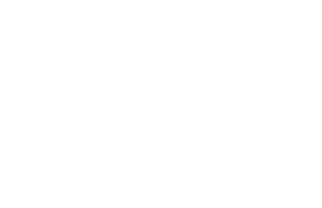 Alpha Phi Foundation logo